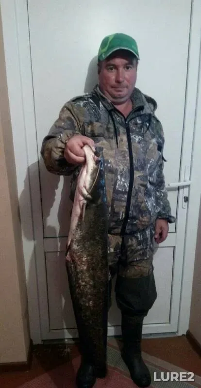 Сом — Днепр, 19 сент. 2019 г.