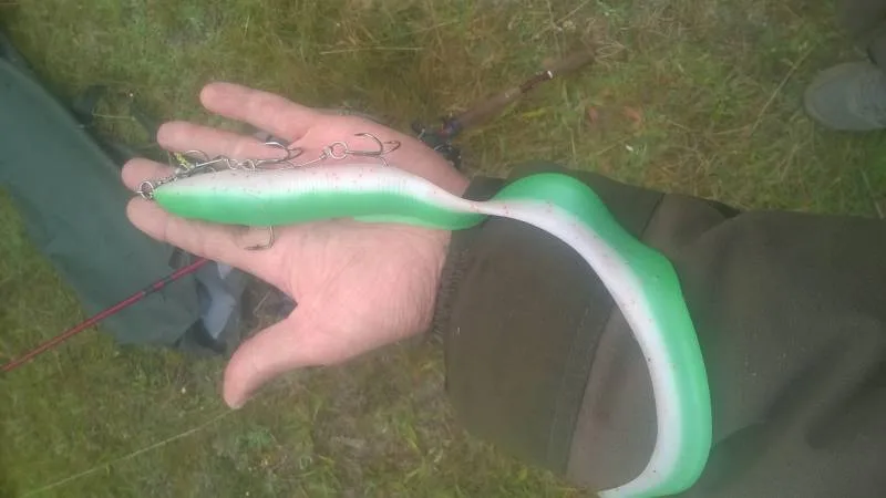 Щука