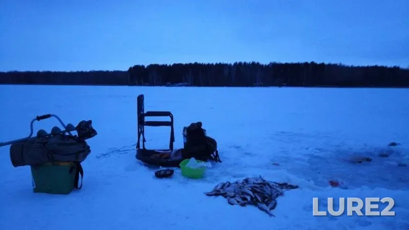 Окунь, Плотва — Свапа, 29 дек. 2016 г.