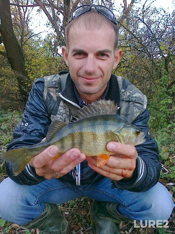 Окунь — Закарпатська область, 19 окт. 2013 г., 17:16
