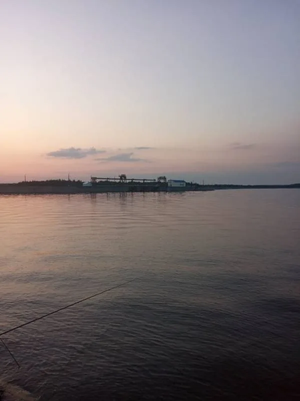 Лещ