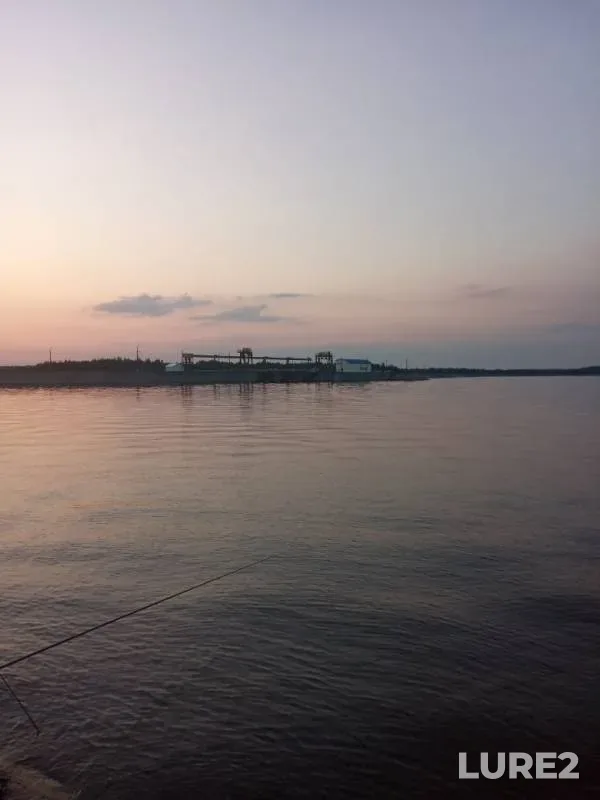 Окунь — Енисей, 05 февр. 2020 г.