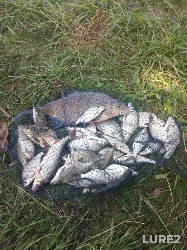 Карась — Корелка, 07 июн. 2019 г.