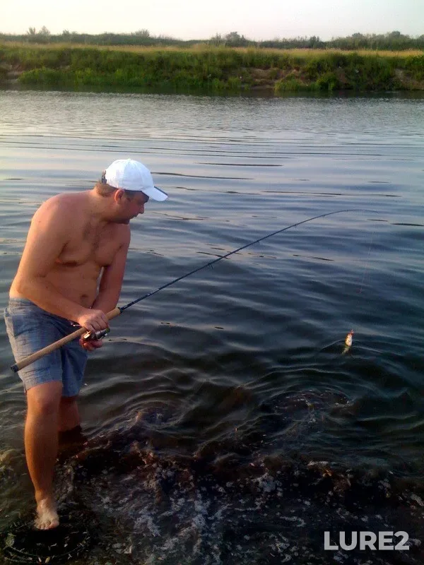 Окунь — Київська область, 17 июл. 2011 г., 20:09