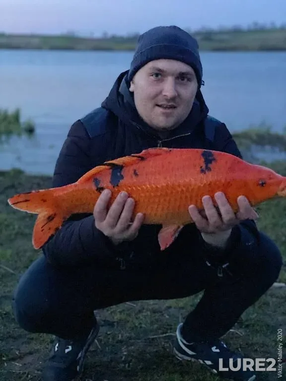 Карп — Львівська область, 16 апр. 2020 г., 20:50