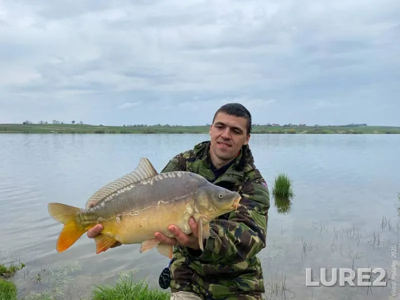 Карп — Львівська область, 03 мая 2020 г., 09:54