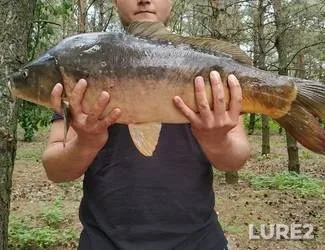 Карп — Рівненська область, 02 июн. 2019 г., 12:48