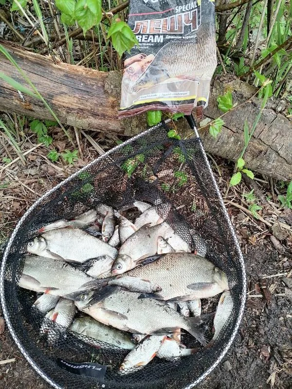 Лещ