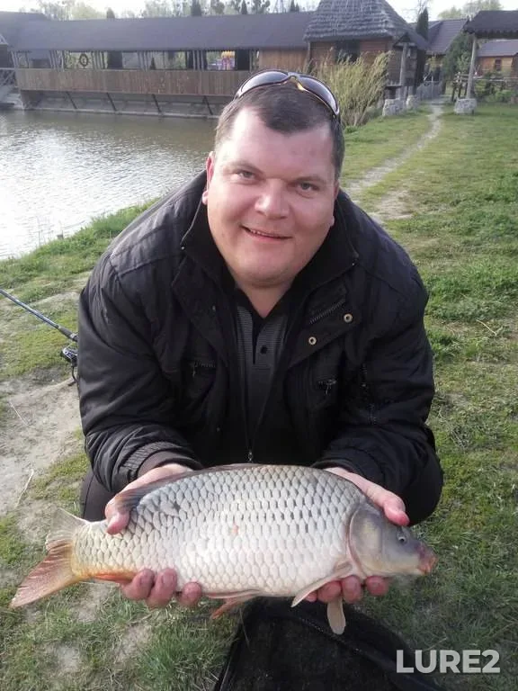 Карась