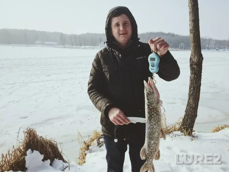 Лещ