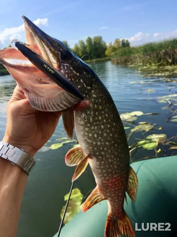 Щука — Самара, 08 сент. 2019 г.