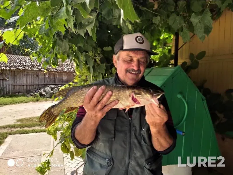 Щука — Случь, 01 сент. 2019 г., 12:36