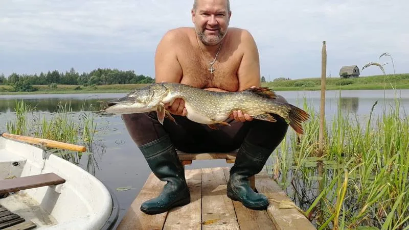 Щука