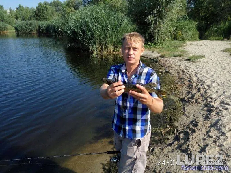 Лещ, Голавль