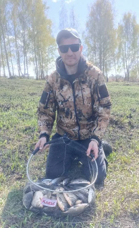 Лещ, Плотва
