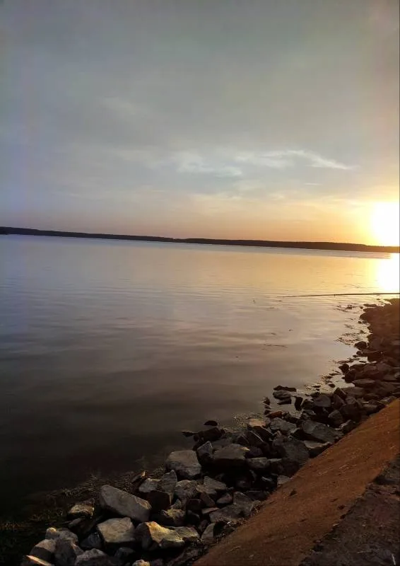 Лещ, Карась