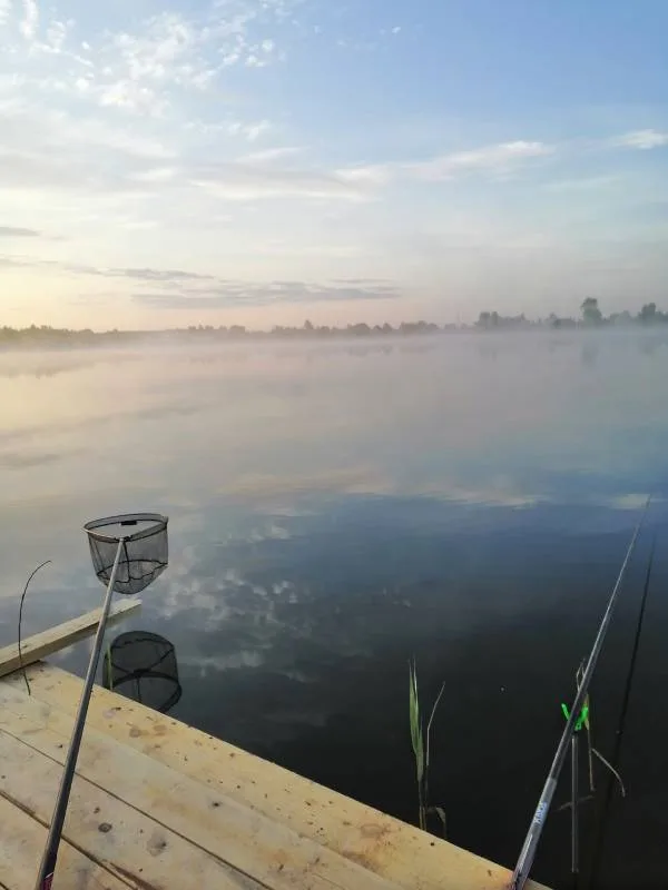 Окунь