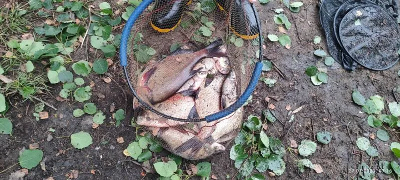 Судак