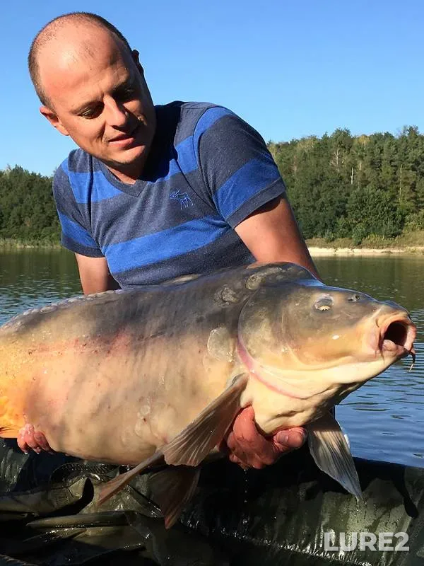 Карп — Київська область, 01 сент. 2016 г., 17:35