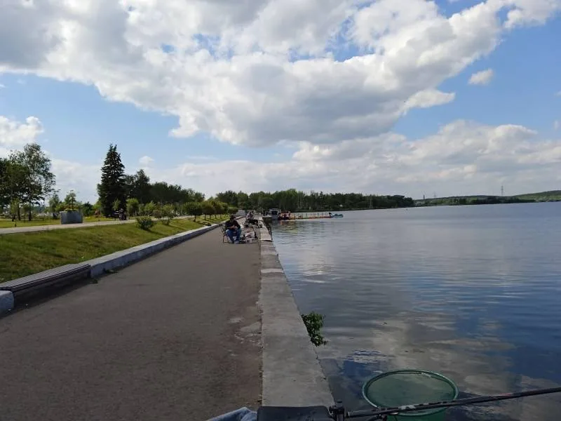 Плотва