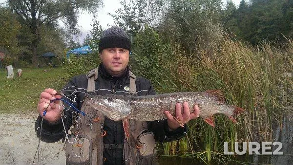 Голавль — Абин, 21 нояб. 2021 г.