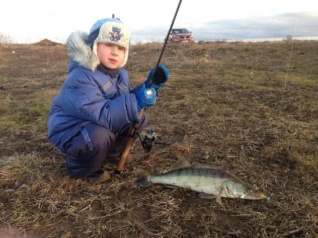 Голавль