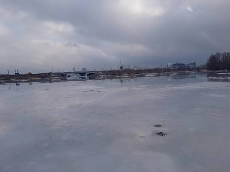 Голавль