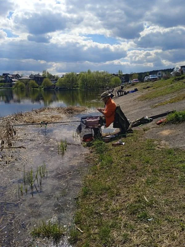 Уклейка, Плотва
