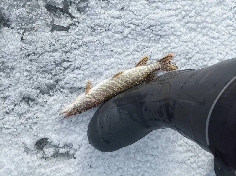 Судак