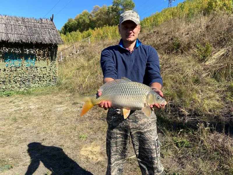 Карп