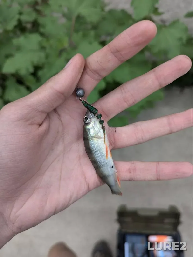 Щука