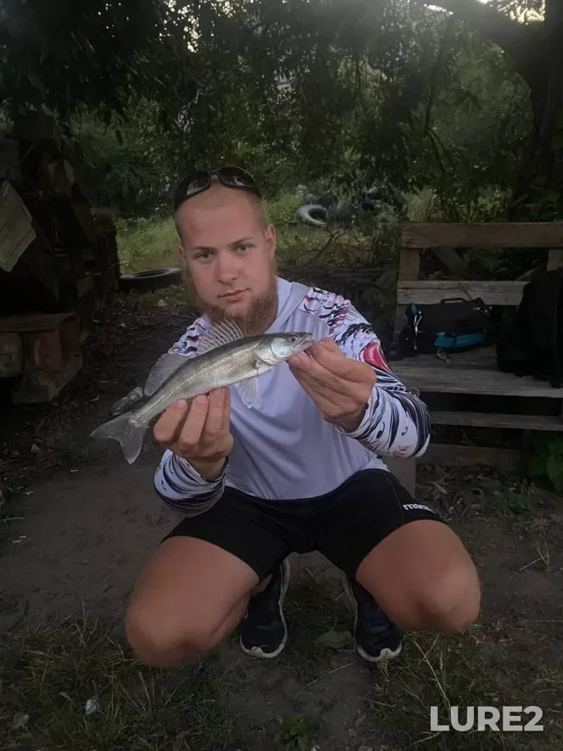 Щука