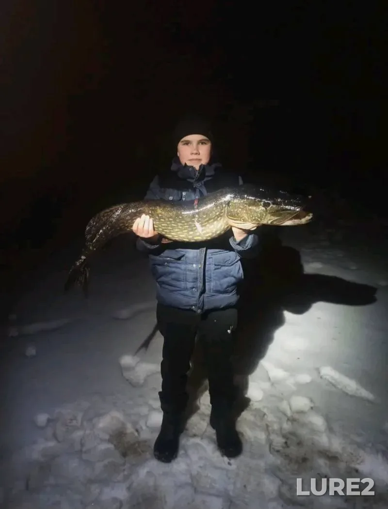 Окунь