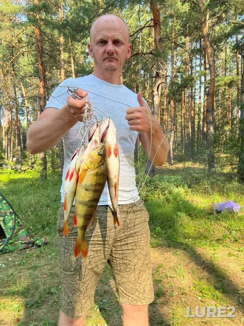Щука