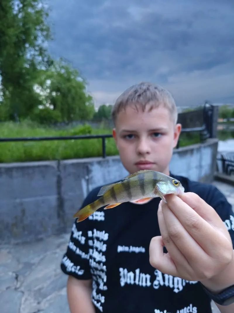 Окунь
