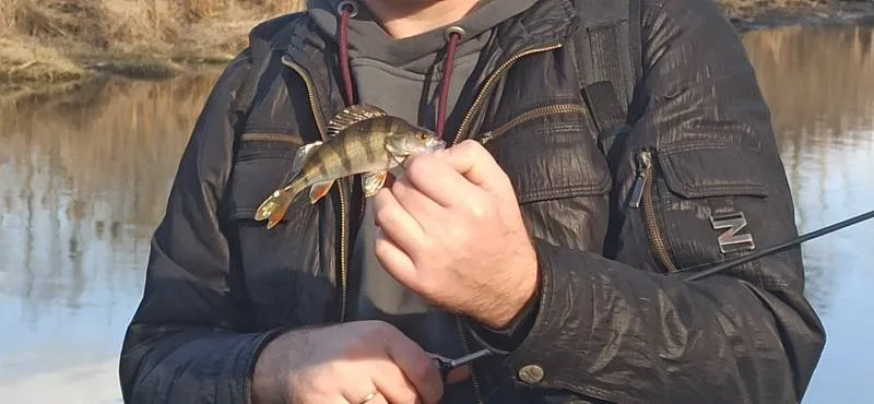 Окунь