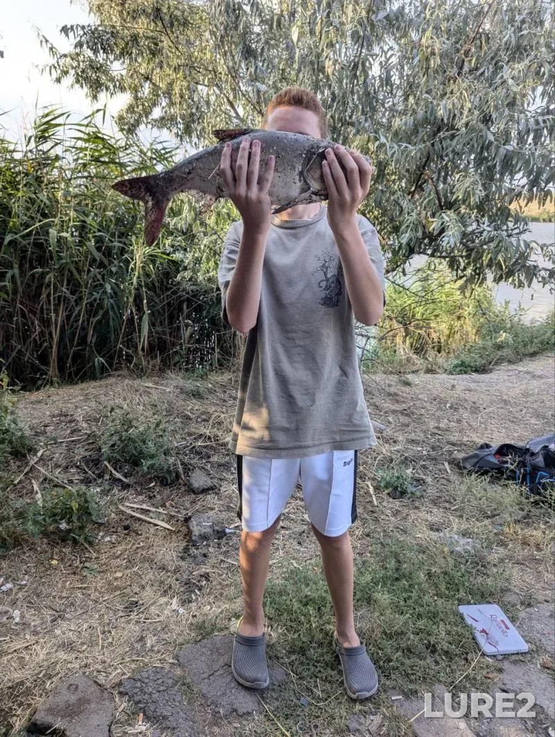Окунь