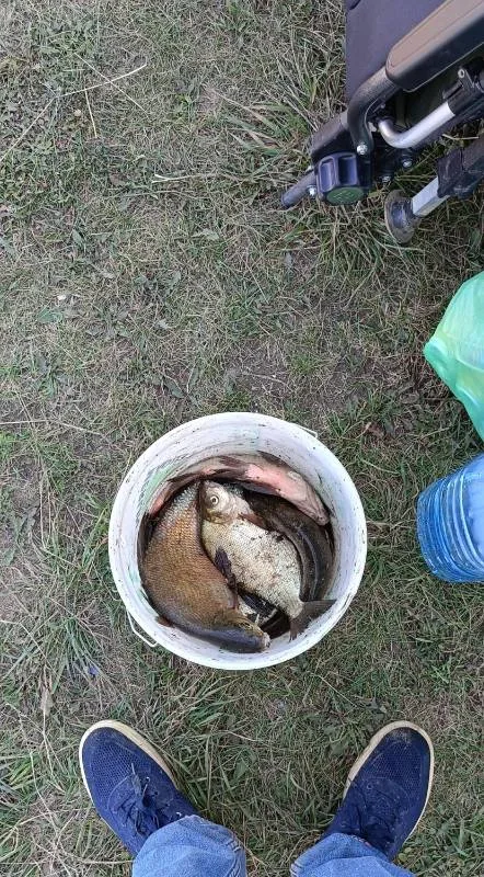 Лещ