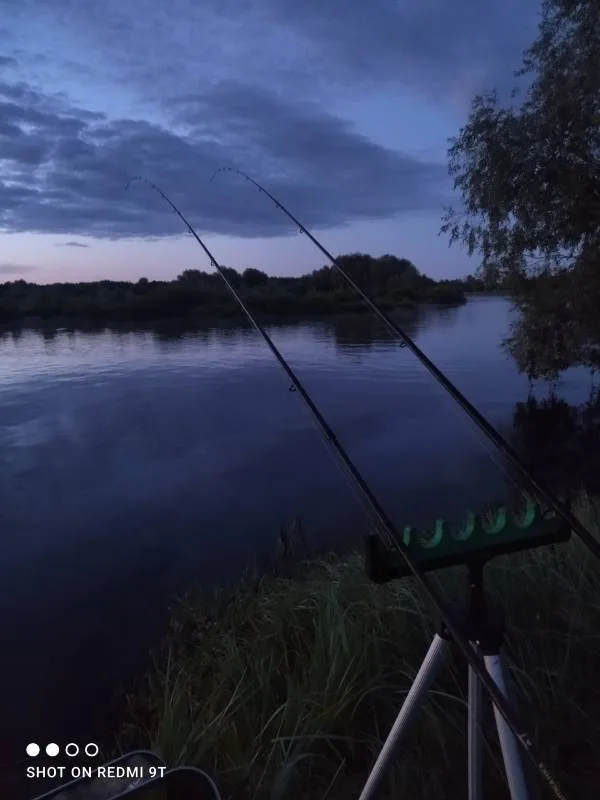 Окунь