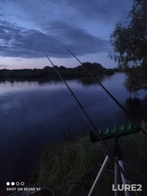 Окунь