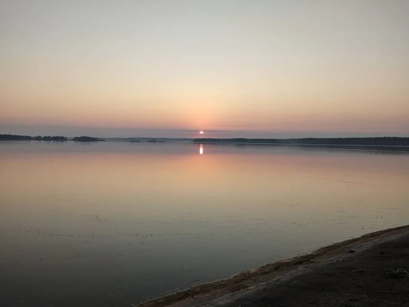 Окунь, Плотва