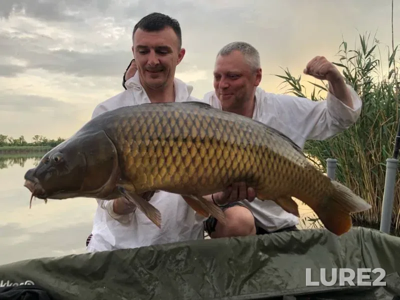 Карп — Спортивно-рыболовный водоем "Каневской", 25 июл. 2023 г.