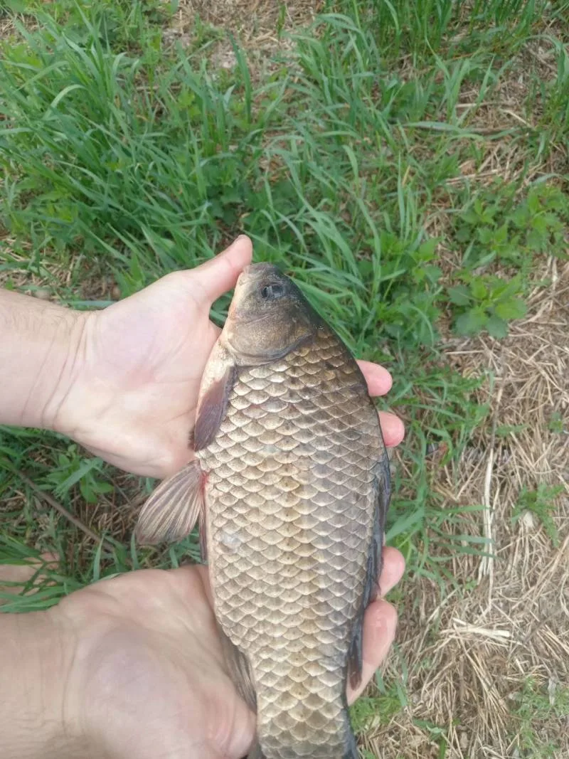 Судак