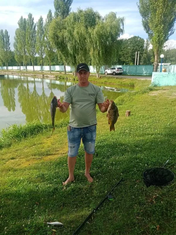 Карп