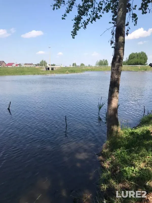 Карась, Окунь — Алтайский край, 14 мая 2020 г.