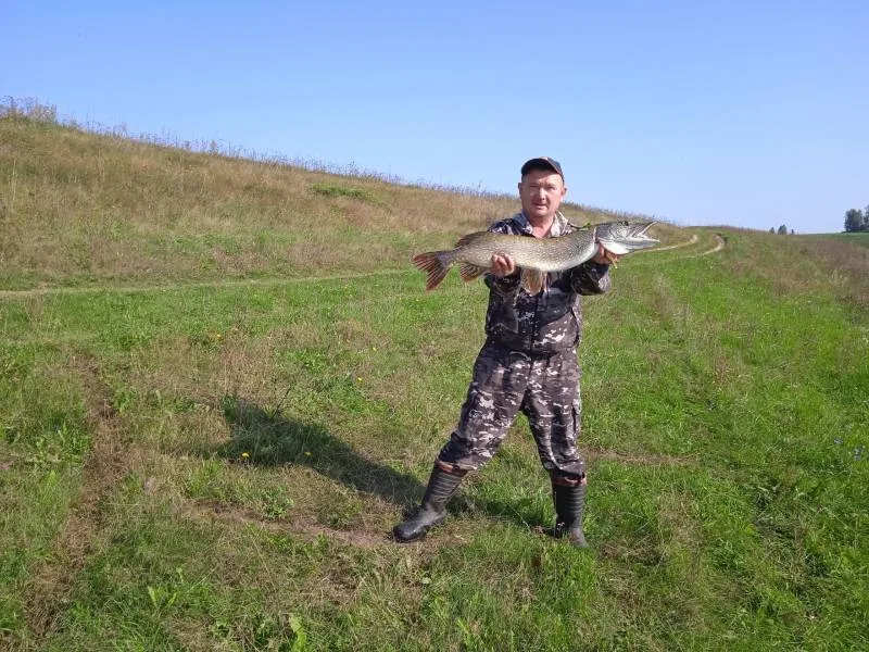 Щука