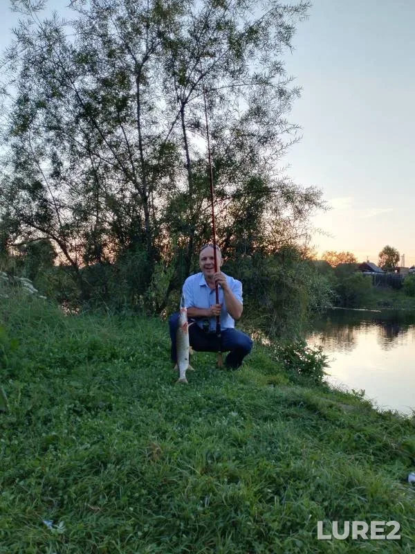 Щука