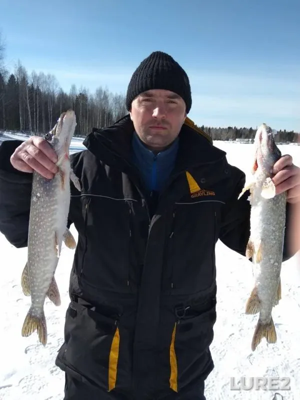 Щука — Пермский край, 19 мар. 2019 г.