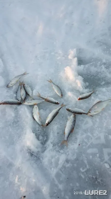 Плотва — Большая Травянка, 19 мар. 2019 г.