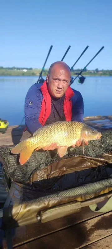 Карп